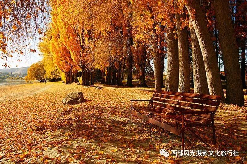 攀登高楼