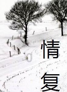 3D双翼飞行