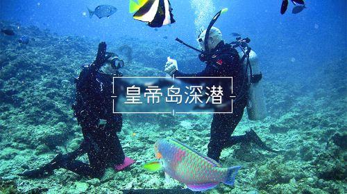大学“冷门”专业毕业后就业也会冷吗？为什么呢？游戏画面