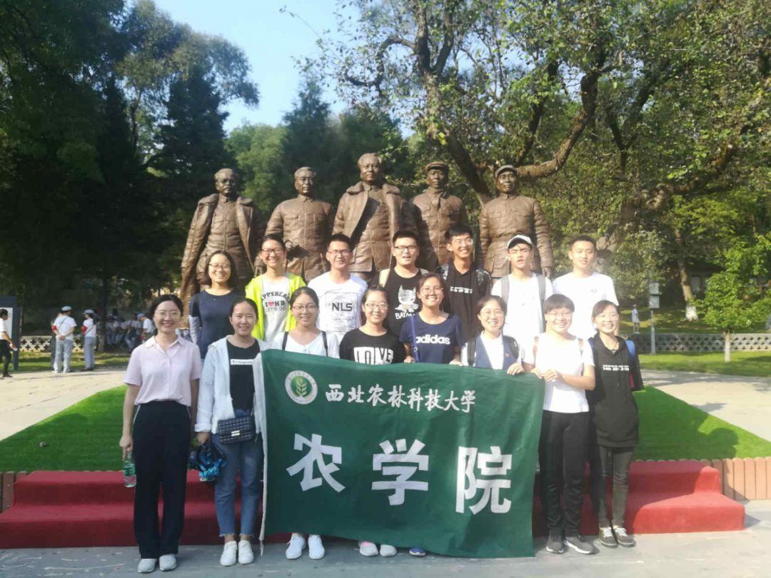 口红掉色很严重，是真的吗游戏画面